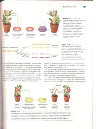 Griffiths anthony   genetica (7ed)