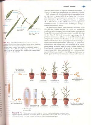 Griffiths anthony   genetica (7ed)