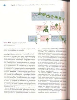 Griffiths anthony   genetica (7ed)