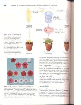 Griffiths anthony   genetica (7ed)