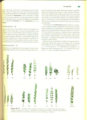 Griffiths anthony   genetica (7ed)