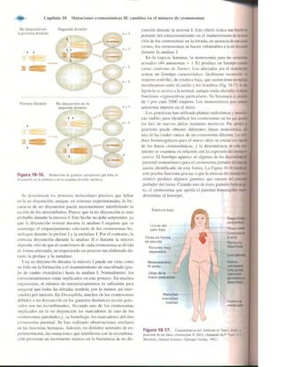 Griffiths anthony   genetica (7ed)