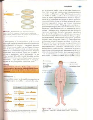 Griffiths anthony   genetica (7ed)