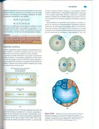 Griffiths anthony   genetica (7ed)