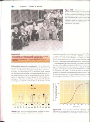 Griffiths anthony   genetica (7ed)