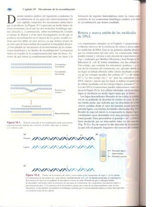 Griffiths anthony   genetica (7ed)