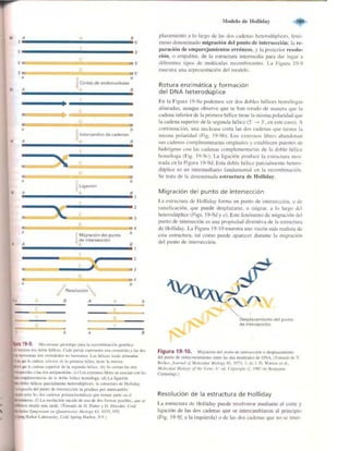 Griffiths anthony   genetica (7ed)