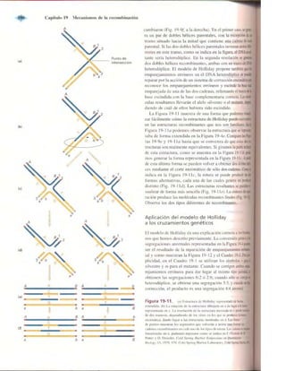 Griffiths anthony   genetica (7ed)