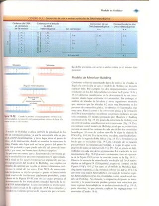 Griffiths anthony   genetica (7ed)