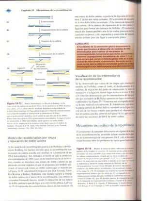 Griffiths anthony   genetica (7ed)