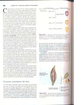 Griffiths anthony   genetica (7ed)