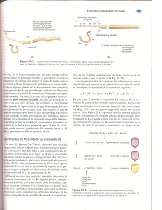 Griffiths anthony   genetica (7ed)