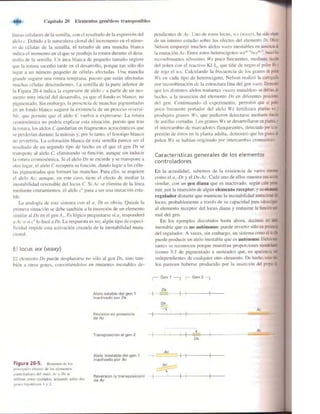 Griffiths anthony   genetica (7ed)