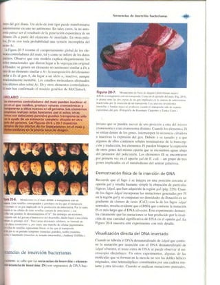 Griffiths anthony   genetica (7ed)