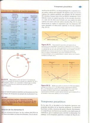 Griffiths anthony   genetica (7ed)