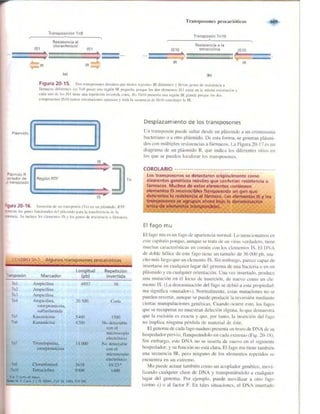 Griffiths anthony   genetica (7ed)