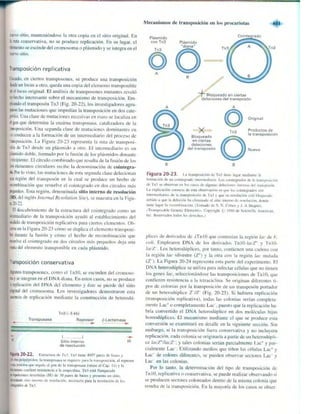 Griffiths anthony   genetica (7ed)