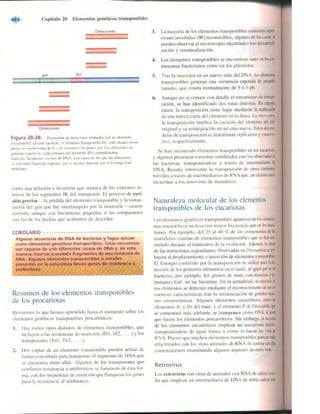 Griffiths anthony   genetica (7ed)