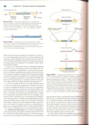 Griffiths anthony   genetica (7ed)