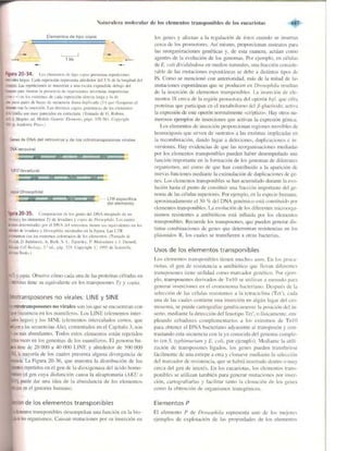 Griffiths anthony   genetica (7ed)