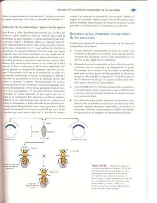 Griffiths anthony   genetica (7ed)