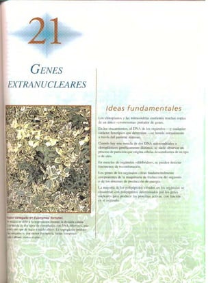 Griffiths anthony   genetica (7ed)