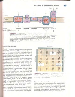 Griffiths anthony   genetica (7ed)