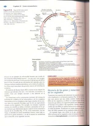 Griffiths anthony   genetica (7ed)