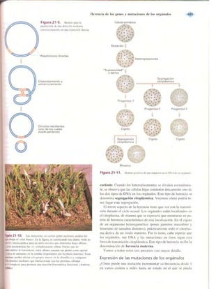 Griffiths anthony   genetica (7ed)