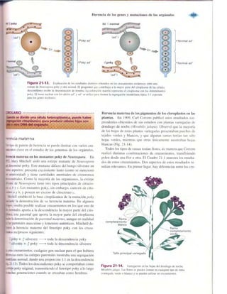 Griffiths anthony   genetica (7ed)