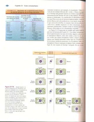 Griffiths anthony   genetica (7ed)