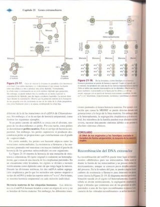 Griffiths anthony   genetica (7ed)