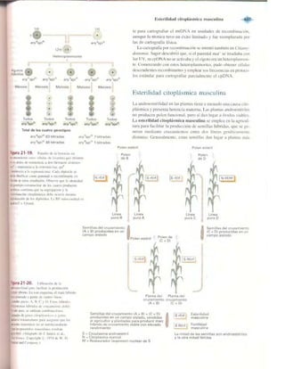 Griffiths anthony   genetica (7ed)