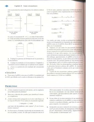 Griffiths anthony   genetica (7ed)