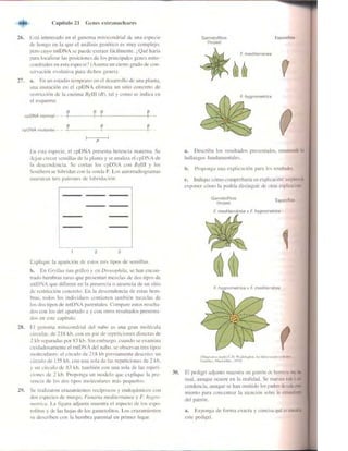 Griffiths anthony   genetica (7ed)