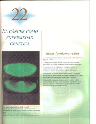 Griffiths anthony   genetica (7ed)