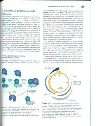Griffiths anthony   genetica (7ed)