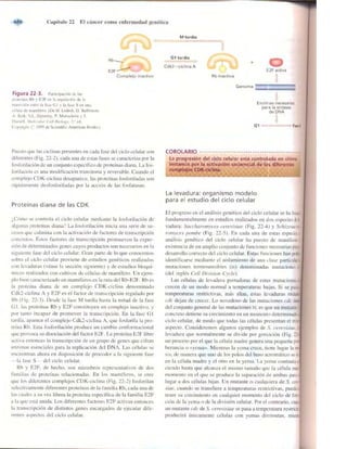 Griffiths anthony   genetica (7ed)