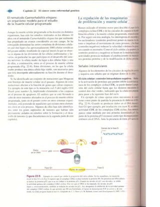 Griffiths anthony   genetica (7ed)