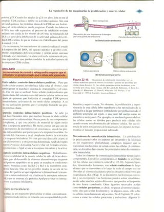 Griffiths anthony   genetica (7ed)