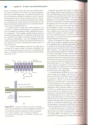 Griffiths anthony   genetica (7ed)