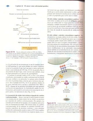 Griffiths anthony   genetica (7ed)