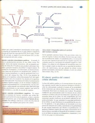 Griffiths anthony   genetica (7ed)