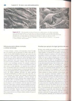 Griffiths anthony   genetica (7ed)