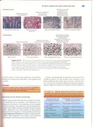 Griffiths anthony   genetica (7ed)