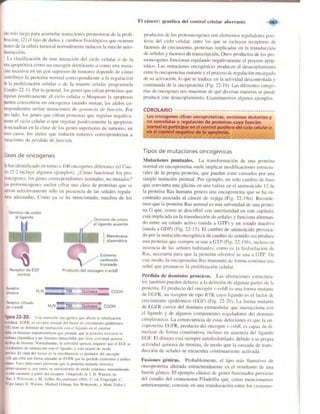 Griffiths anthony   genetica (7ed)