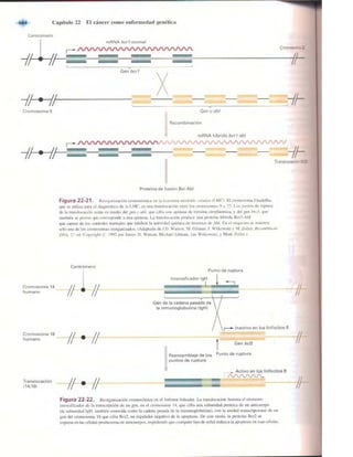 Griffiths anthony   genetica (7ed)