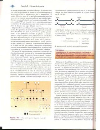 Griffiths anthony   genetica (7ed)