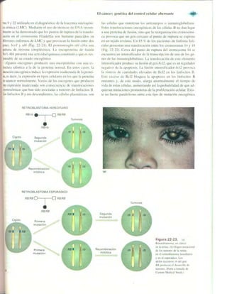 Griffiths anthony   genetica (7ed)