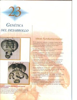 Griffiths anthony   genetica (7ed)